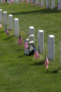 Flags at Arlington Cemetery